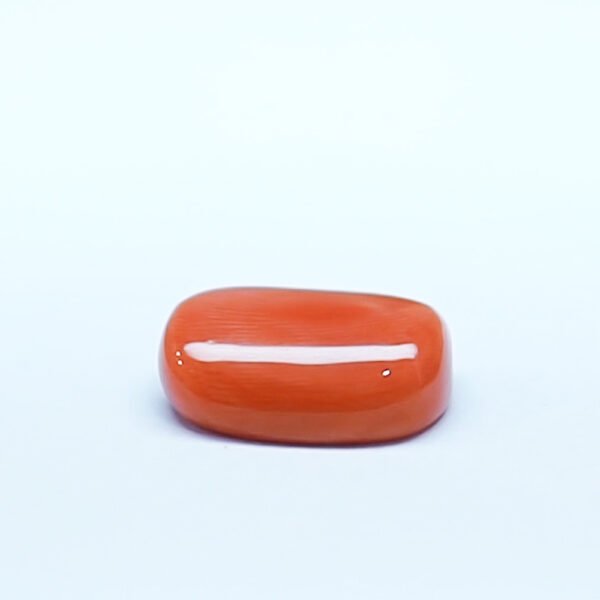 Red Coral 10.69 Carat